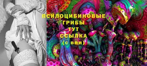 a pvp Россошь