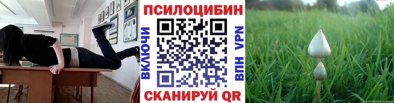 закладки Харабали hydra ССЫЛКА Псилоцибиновые грибы Cubensis